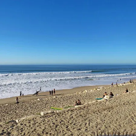 Apartment Primavera-7 By Interhome Lacanau