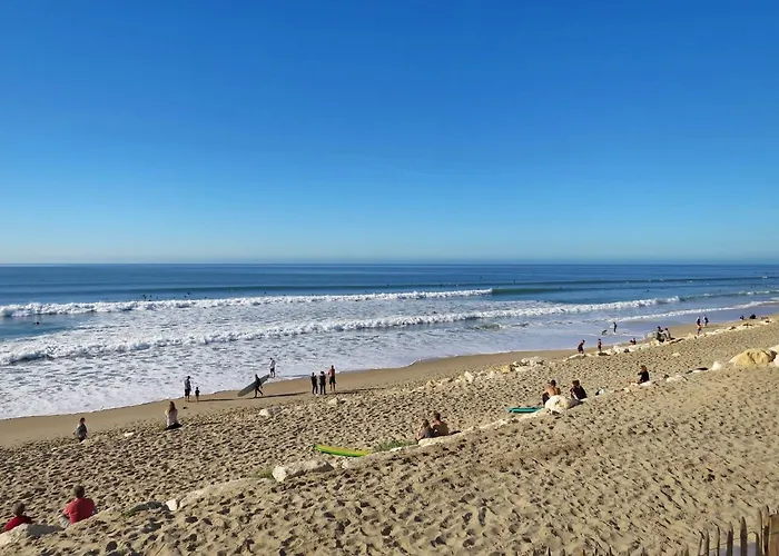 Appartement Primavera-7 By Interhome Lacanau